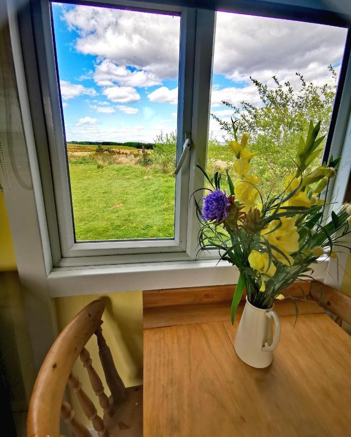 Bluebell Off-Grid Van Newton Stewart Eksteriør bilde